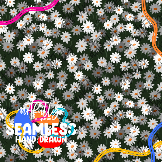 Daisies File - MULTIPLE OPTIONS