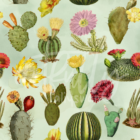 Vintage Cactus Seamless File and Coordinate Bundle