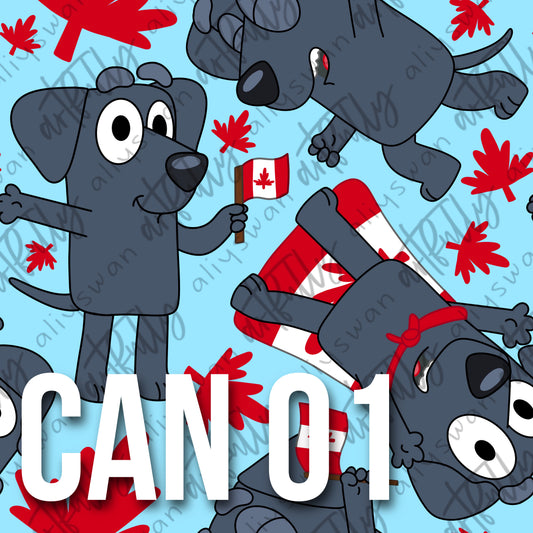 CAN 01 Seamless File