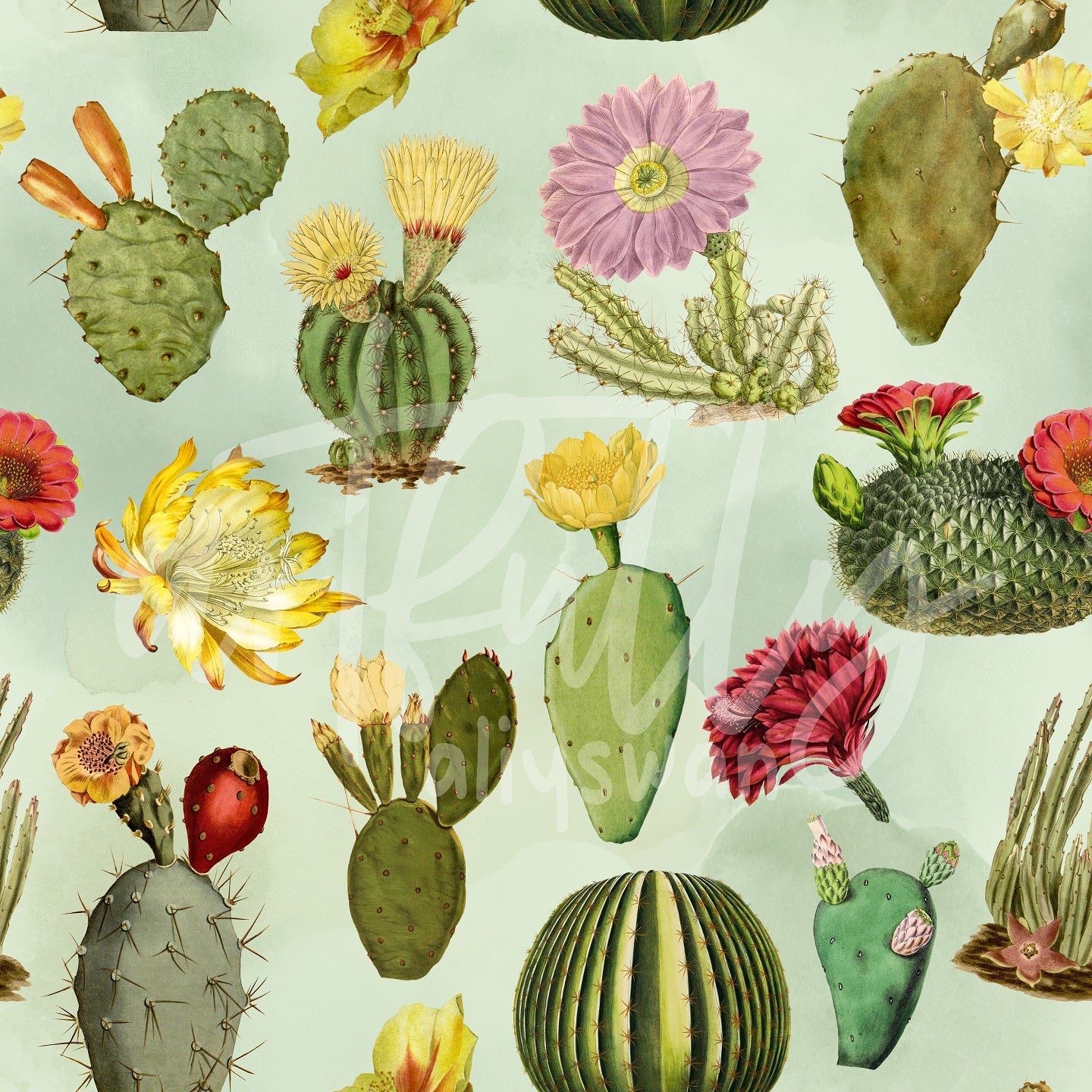 Vintage Cactus Seamless File and Coordinate Bundle